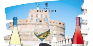Vinea Domini riparte dal territorio con i vini Friccicore e Luccicore vinea_domini
