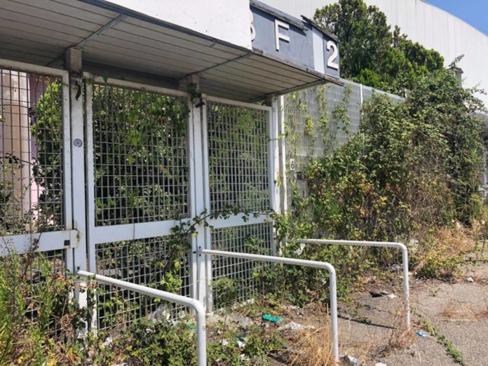 palagiungla_cava_dei_selci