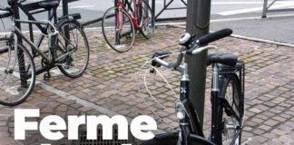 Bonus bici, Tidei Italia Viva “Accelerare per renderlo operativo” bonus_bici_tidei