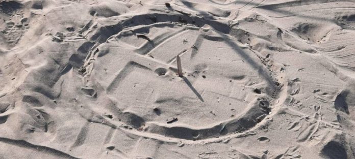 nido_tartaruga_caretta_caretta