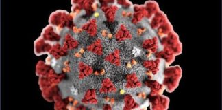 Unità di crisi Covid, in corso attacco hacker al CED regionale covid_19