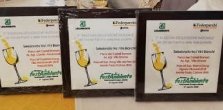 A FestAmbiente 2020 premiati i vini dei Castelli Romani festambiente_2020