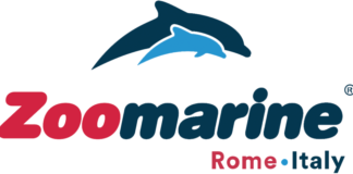 Sospesa l’ordinanza che imponeva la chisura di Zoomarine per 5 giorni zoomarine