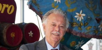 Marino, vendemmia 2020 parola al presidente di Gotto d’Oro Luigi Caporicci caporicci