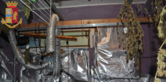 Appartamento della droga scoperto ad Anzio anzio