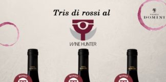 Vinea Domini premiata anche al The Wine Hunter Award premio_merano