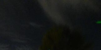 Assotutela “Salaria al buio e pericolosa. Esposto in Procura”