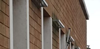 Pomezia, bandiere a mezz’asta in ricordo di Willy Monteiro Duarte bandiere_pomezia_willy