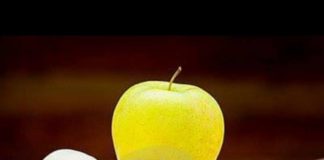 Olga Masi “Mensa scolastica, tutto pronto per iniziare in sicurezza” mela