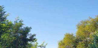 Italia Viva Pomezia richiede intervento su via delle Monachelle richiesta_intervento_via_delle_monachelle_pomezia