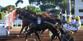 Il weekend a Capanelle di sabato 19 e domenica 20 settembre capannelle_trotto_partenza