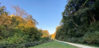 Marino, l’Archeoclub Colli Albani in difesa del Barco Colonna barco_colonna