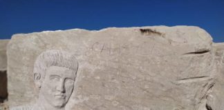 In arrivo ShingLe22j OVERTIME dal 19 al 27 settembre shinglej22_2020