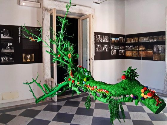 doppia_esposizione_musei_villa_tolonia