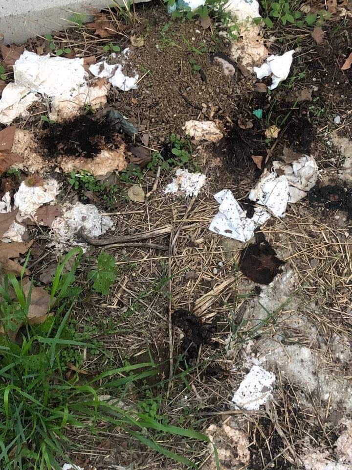 degrado_incuria_lungotevere_arnaldo_da_brescia_roma