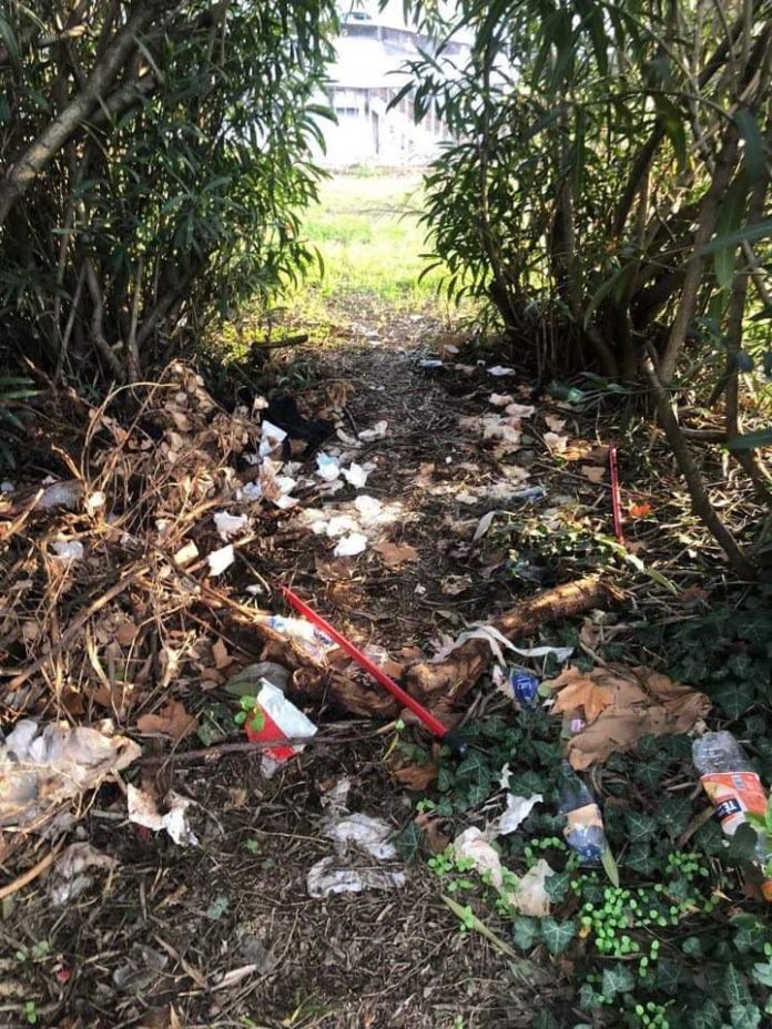 degrado_incuria_lungotevere_arnaldo_da_brescia_roma