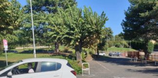 Coronavirus, 29 nuovi casi positivi e 2 decessi il 12 Ottobre in Asl Roma 6 drive_in_genzano