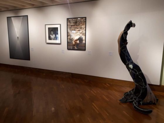 doppia_esposizione_musei_villa_tolonia