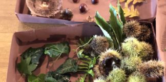 L’OutDoor Education in Italia comincia da Nemi radici_in_natura