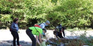 Una giornata dedicata ai boschi dei Castelli #puliAMOilbosco