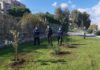 Verde a Pomezia, unione tra pubblico e privato per l’allestimento di nuove aree verdi polizia_locale_pomezia_dona_6_alberi