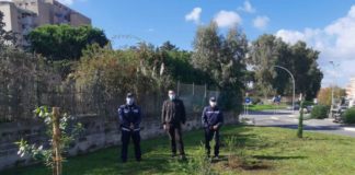 Verde a Pomezia, unione tra pubblico e privato per l’allestimento di nuove aree verdi polizia_locale_pomezia_dona_6_alberi