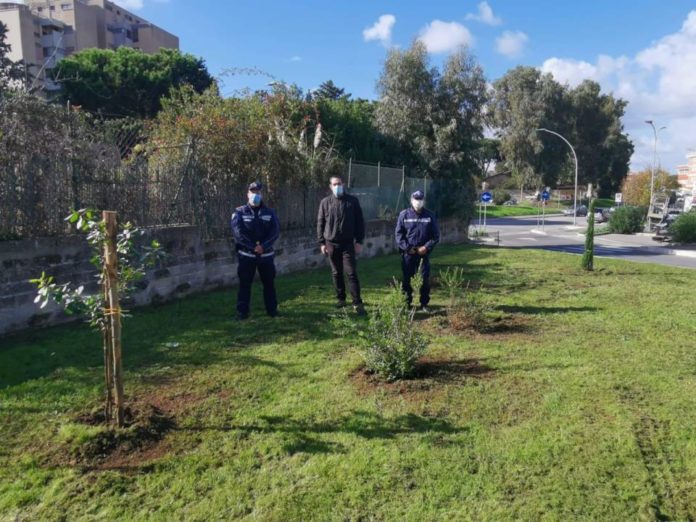 polizia_locale_pomezia_dona_6_alberi