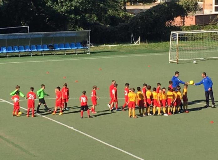 lupa_frascati_roma_mamilio_amadei