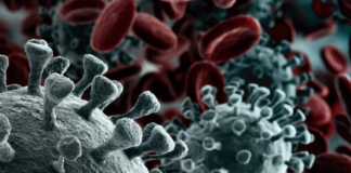 Coronavirus, 139 nuovi casi positivi e 7 decessi il 16 Novembre in Asl Roma 6 covid