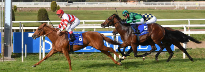 capannelle_galoppo capannelle_galoppo