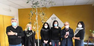 Giornata dell’Albero, Ballico ringrazia Fdi Ciampino giornata_albero_ballico_fdi_ciampino