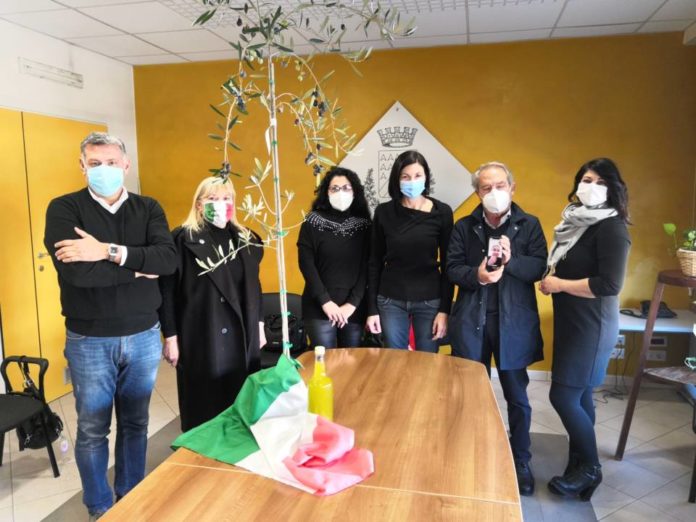 giornata_albero_ballico_fdi_ciampino