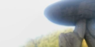 Ariccia, riattivato lo Sportello per il Condono Edilizio michele_serafini