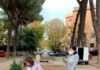 Grottaferrata celebra la Giornata dell’Albero grottaferrta_celebra_giornata_albero