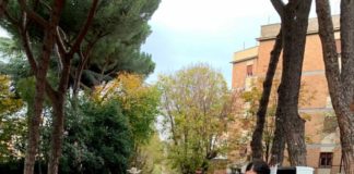 Grottaferrata celebra la Giornata dell’Albero grottaferrta_celebra_giornata_albero