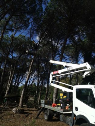 manutenzione_verde_pomezia