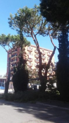 manutenzione_verde_pomezia