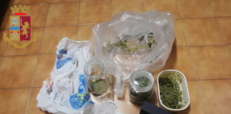Civitavecchia, residente trovato in possesso di oltre 50 grammi di marijuana droga_civitavecchia
