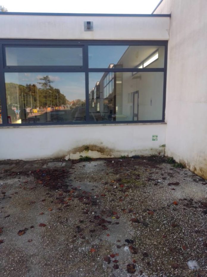 scuola_media_campoleone