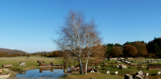 Si riaprono nuove possibilità di finanziamento per i bandi dedicati alla Cooperazione del GAL Castelli Romani e Monti Prenestini gal