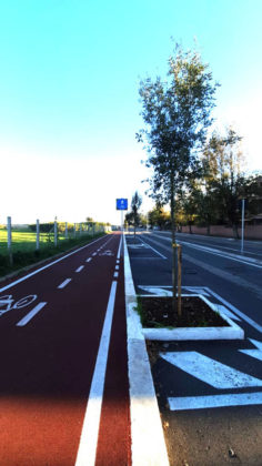 comune_pomezia_130_nuove_piante