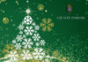 Natale di Speranza, Pomezia e Torvaianica si illuminano di verde. manifesto_natale