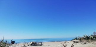 Nuovo regolamento del Verde approvato a Pomezia dune_torvaianica