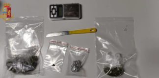 Velletri non sfugge al fiuto di Isco, cane antidroga della Polizia velletri