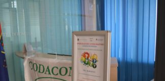 Apre a Pomezia lo Sportello del Consumatore apre_sportello_consumatore_pomezia