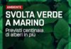 M5S “Svolta verde a Marino, previsti centinaia di alberi in più” svolta_verde_marino