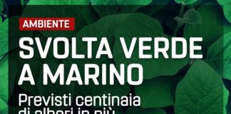 M5S “Svolta verde a Marino, previsti centinaia di alberi in più” svolta_verde_marino