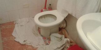 Fiasco denuncia il degrado nell’immobile comunale di via Felice Ferri frascati_degrado_bagni_via_felice_ferri