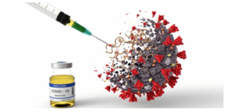 Fmmg Anzio e Nettuno “La situazione dei contagi sul nostro territorio è purtroppo in crescita” vaccino_anti_covid