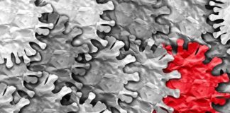 Coronavirus, 141 nuovi casi positivi e 2 decessi il 13 Febbraio in Asl Roma 6